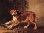 Benjamin Marshall A Celebrated spaniel,the property of colonel joliffe,in a landscape with a woodcock oil
